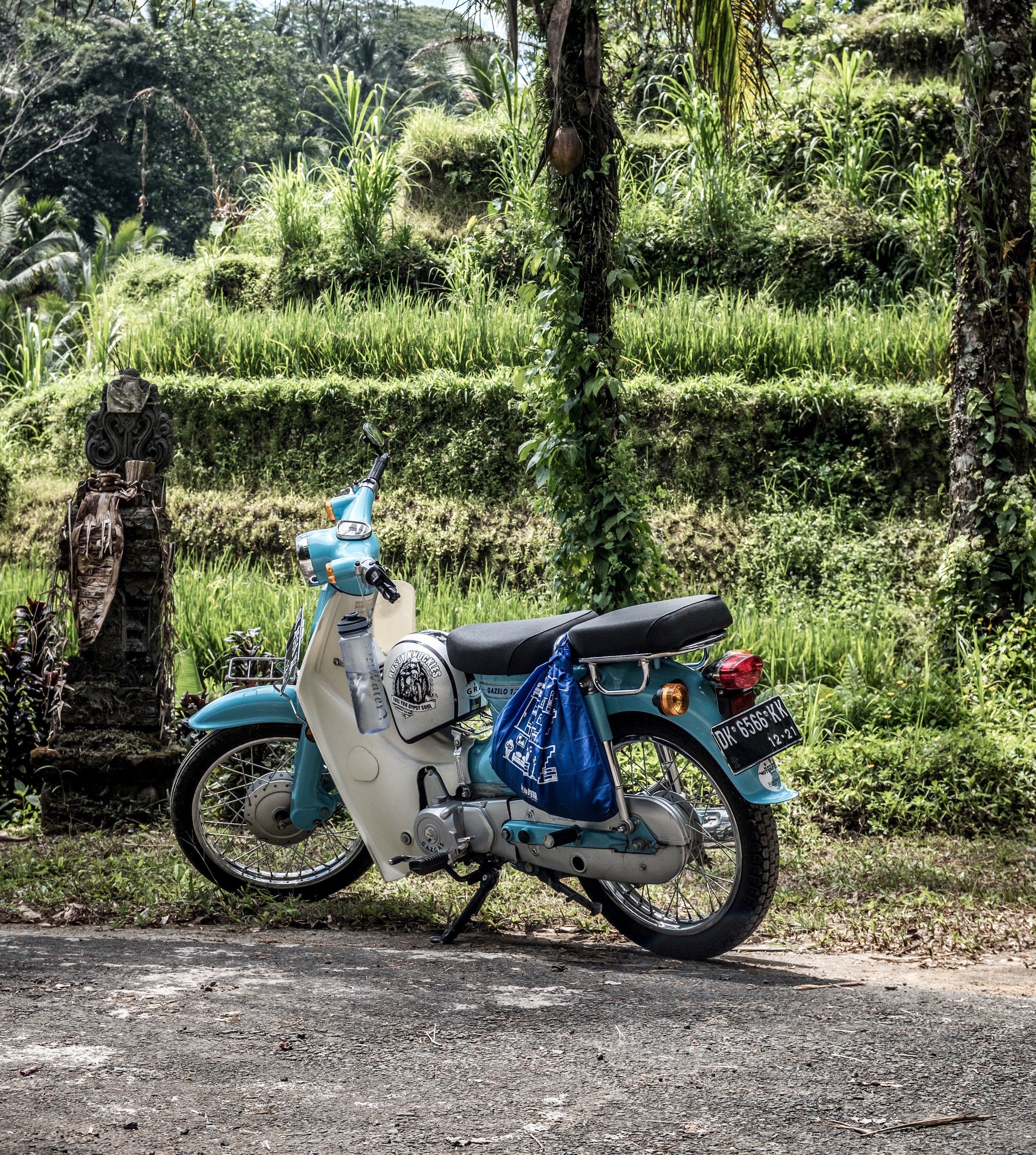 Scooter Fahren auf Bali | Tips für deine Balireise | Urlaub auf Bali und was man beachten muss 