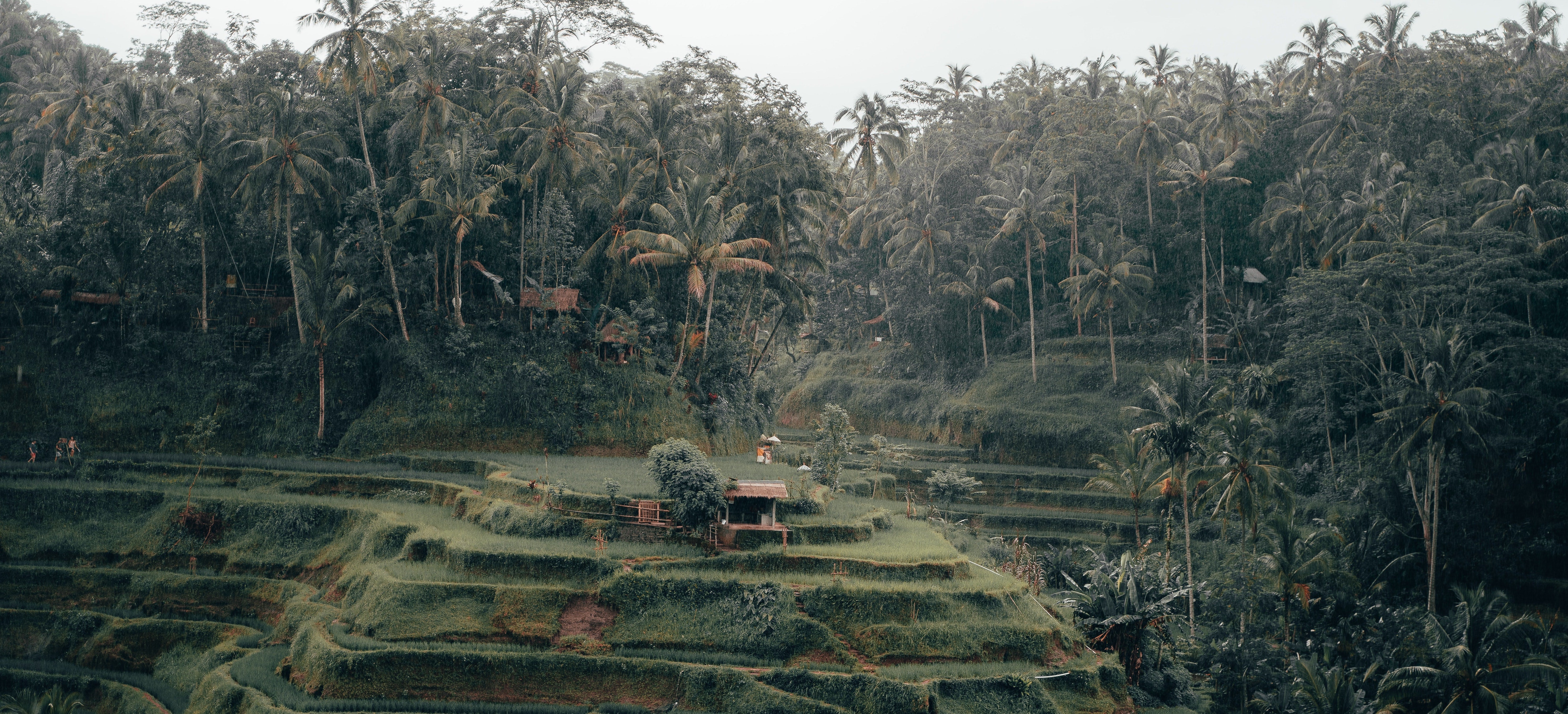 10 Fehler auf einer Bali Reise